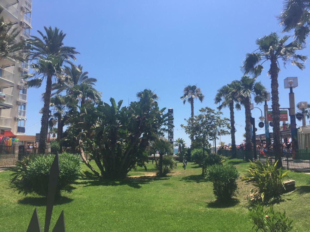 Exinvall Benidorm Exteriör bild